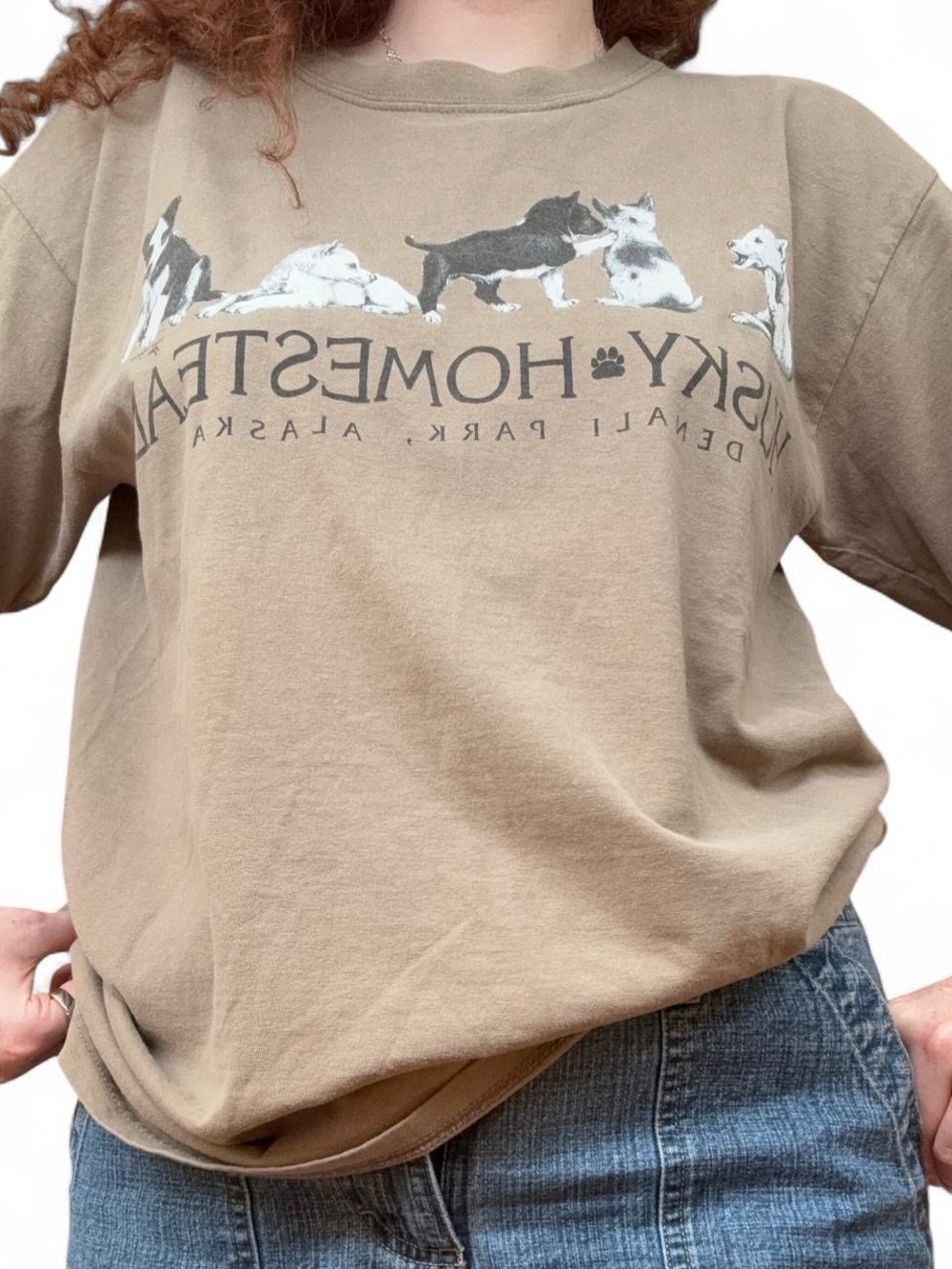 VTG Husky Homestead Denali Park Alaska Puppy Graphic T-Shirt